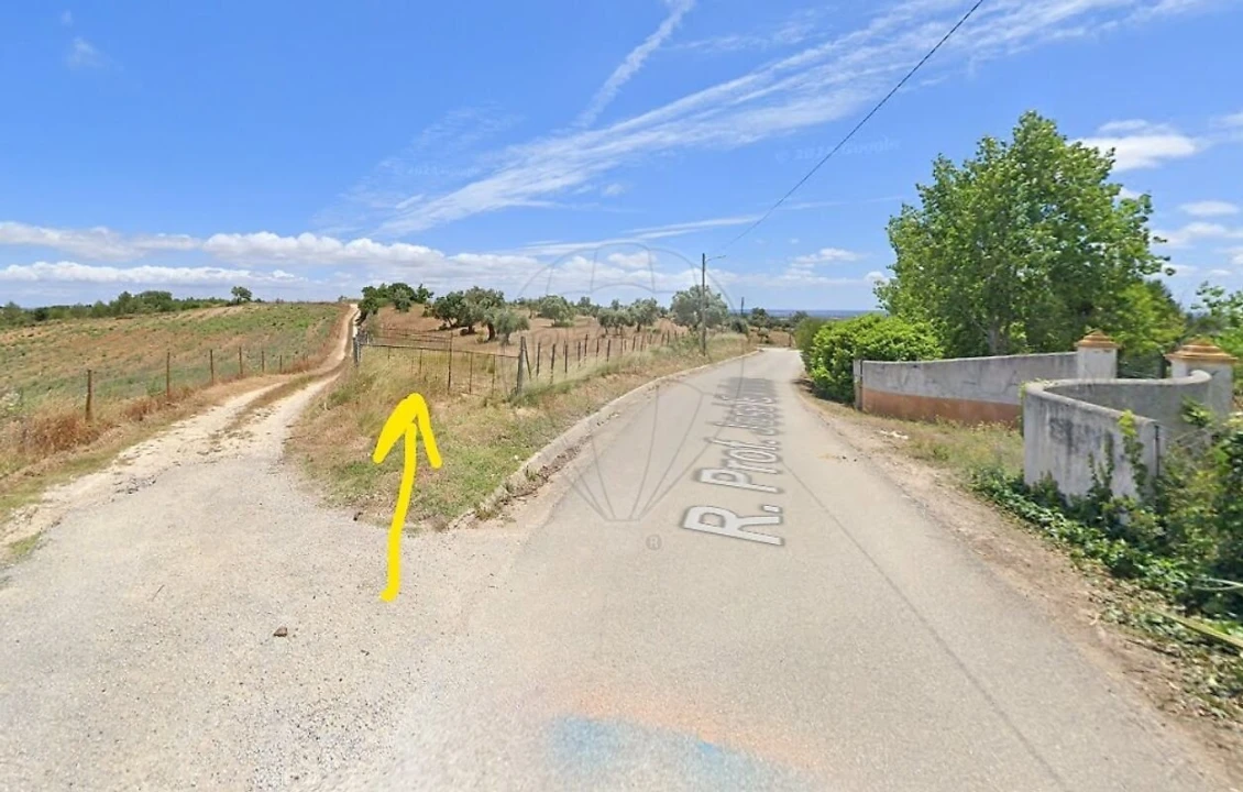 Terreno para Venda em Romeira e Várzea Foto 1