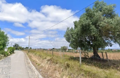 Terreno para Venda em Romeira e Várzea