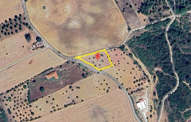 Terreno para Venda em Romeira e Várzea Foto 3