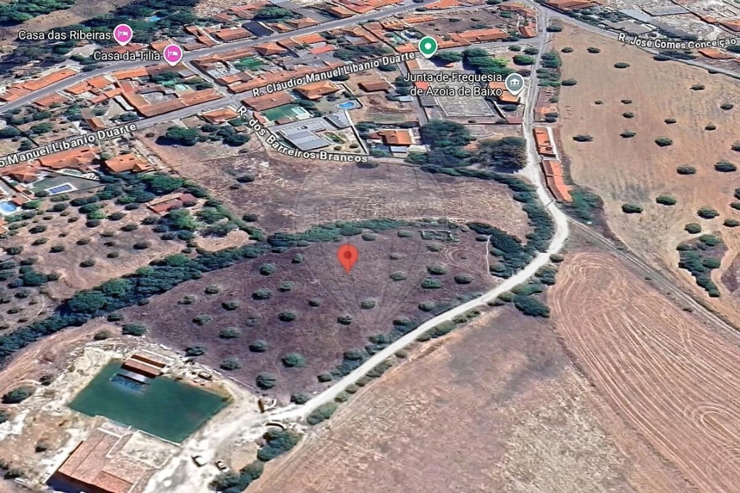 Terreno para Venda em Achete, Azoia de Baixo e Póvoa de Santarém Foto 3
