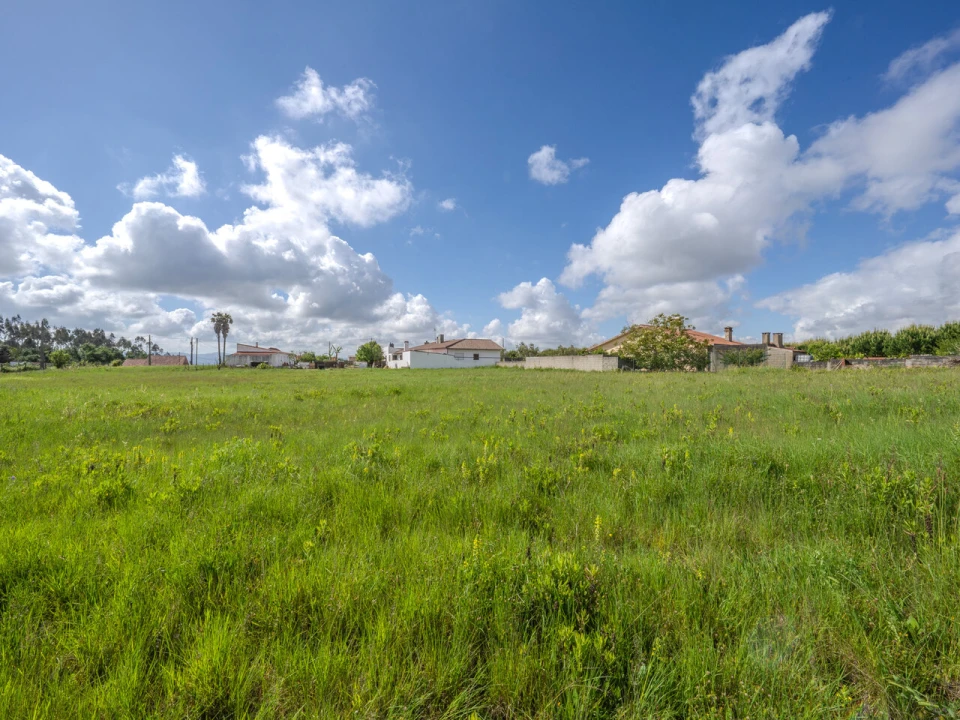 Terreno para Venda em Maceira Foto 2