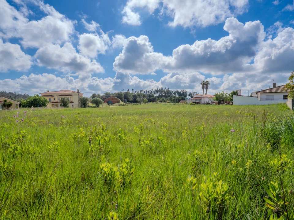 Terreno para Venda em Maceira Foto 4