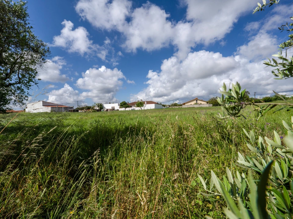 Terreno para Venda em Maceira Foto 6