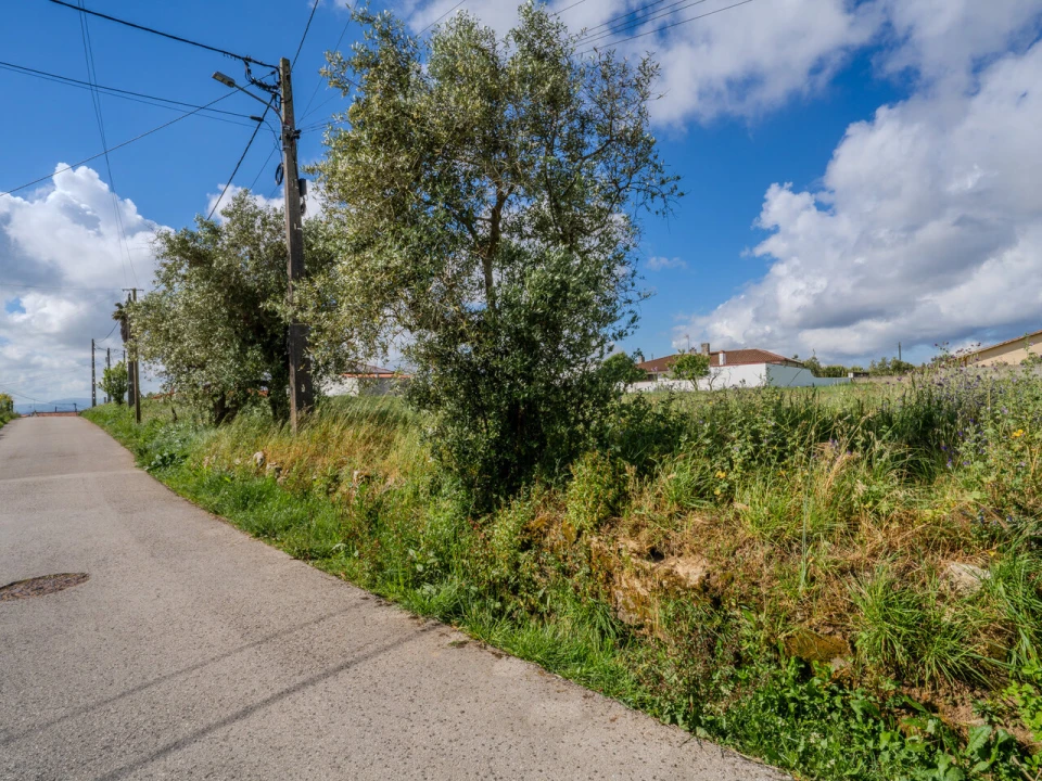 Terreno para Venda em Maceira Foto 7