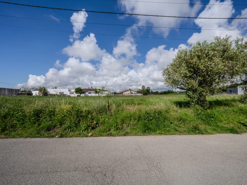 Terreno para Venda em Maceira Foto 9