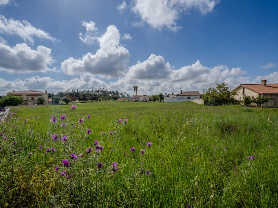 Terreno para Venda em Maceira Foto 10