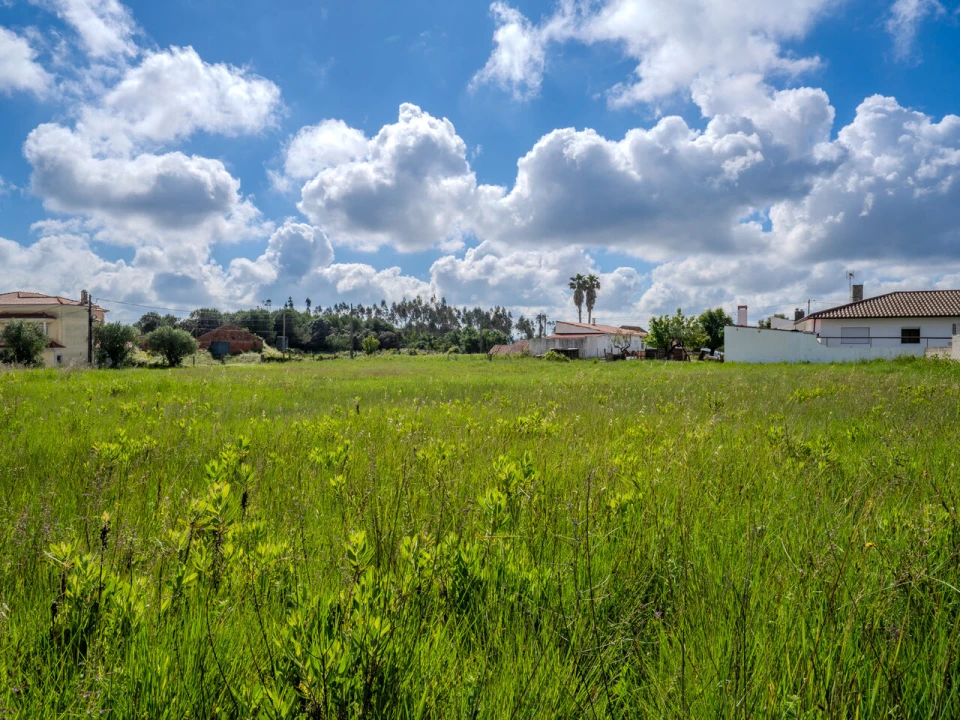 Terreno para Venda em Maceira Foto 12
