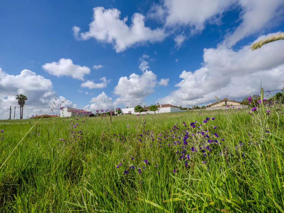 Terreno para Venda em Maceira Foto 13