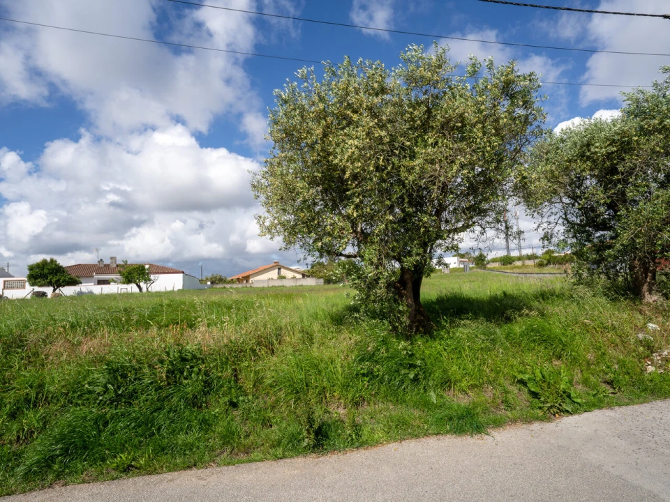 Terreno para Venda em Maceira Foto 14