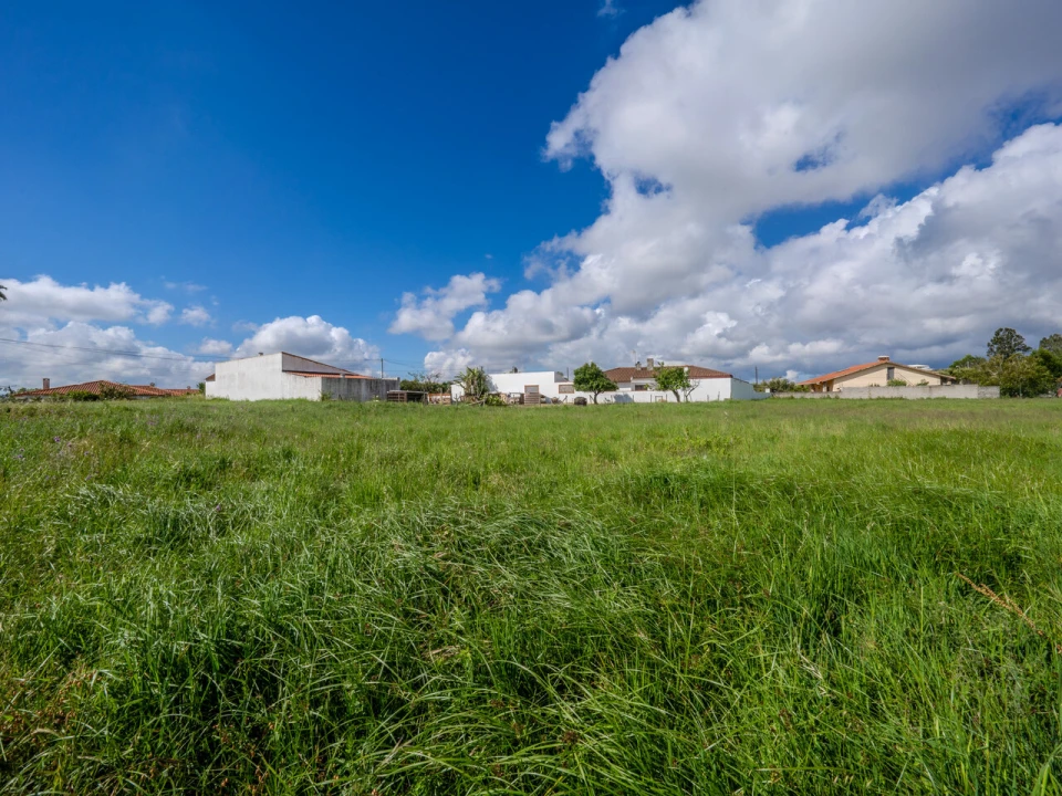 Terreno para Venda em Maceira Foto 15