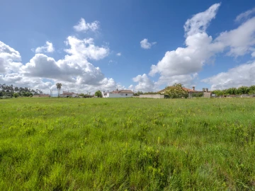 Terreno para Venda em Maceira