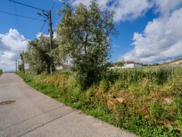 Terreno para Venda em Maceira