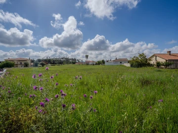 Terreno para Venda em Maceira