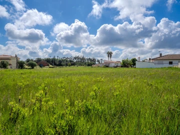 Terreno para Venda em Maceira