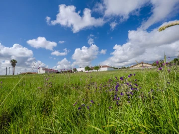 Terreno para Venda em Maceira