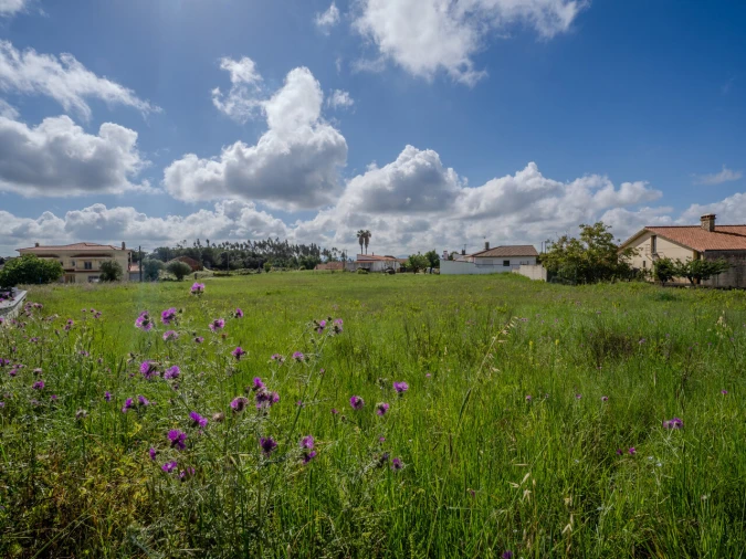 Terreno para Venda em Maceira Foto 10