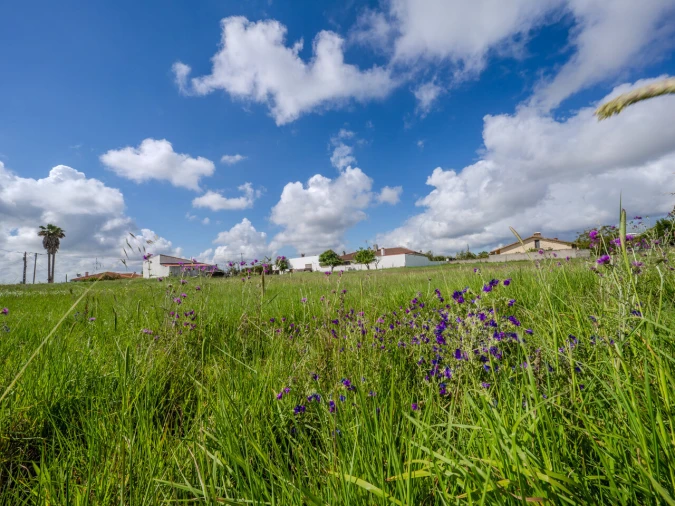 Terreno para Venda em Maceira Foto 13