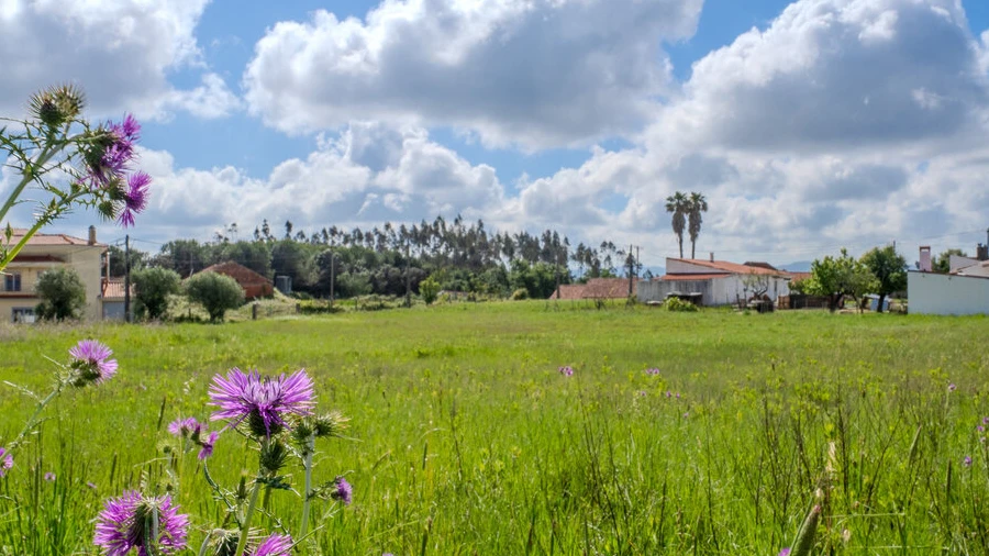 Terreno para Venda em Maceira