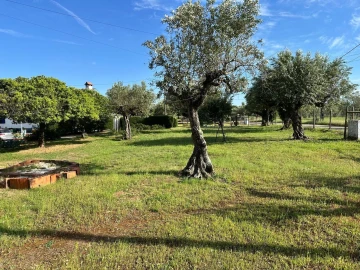 Quinta T4 para Venda em Martinchel