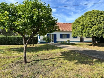 Quinta T4 para Venda em Martinchel