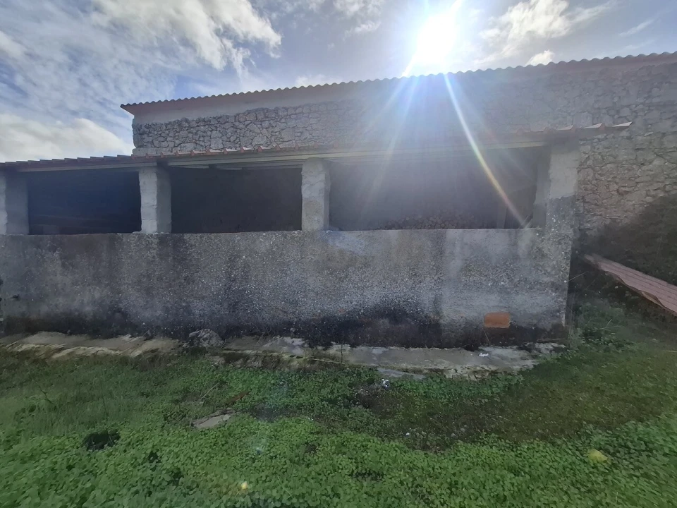 Quinta T3 para Venda em Arez e Amieira do Tejo Foto 30