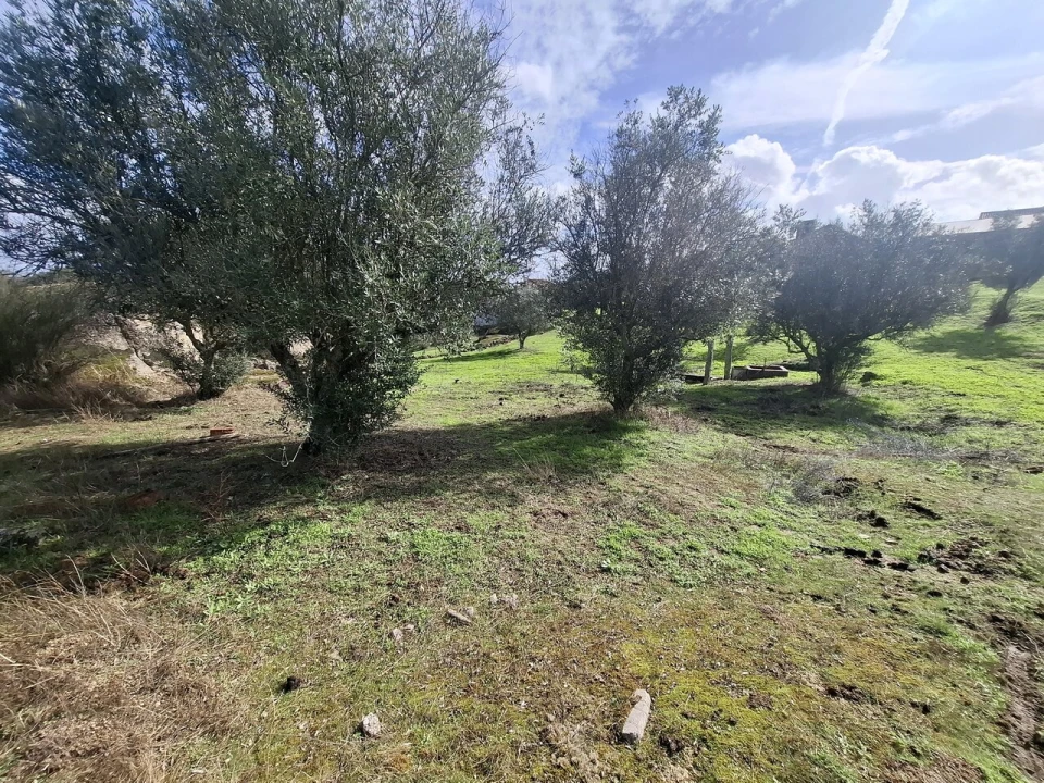 Quinta T3 para Venda em Arez e Amieira do Tejo Foto 36