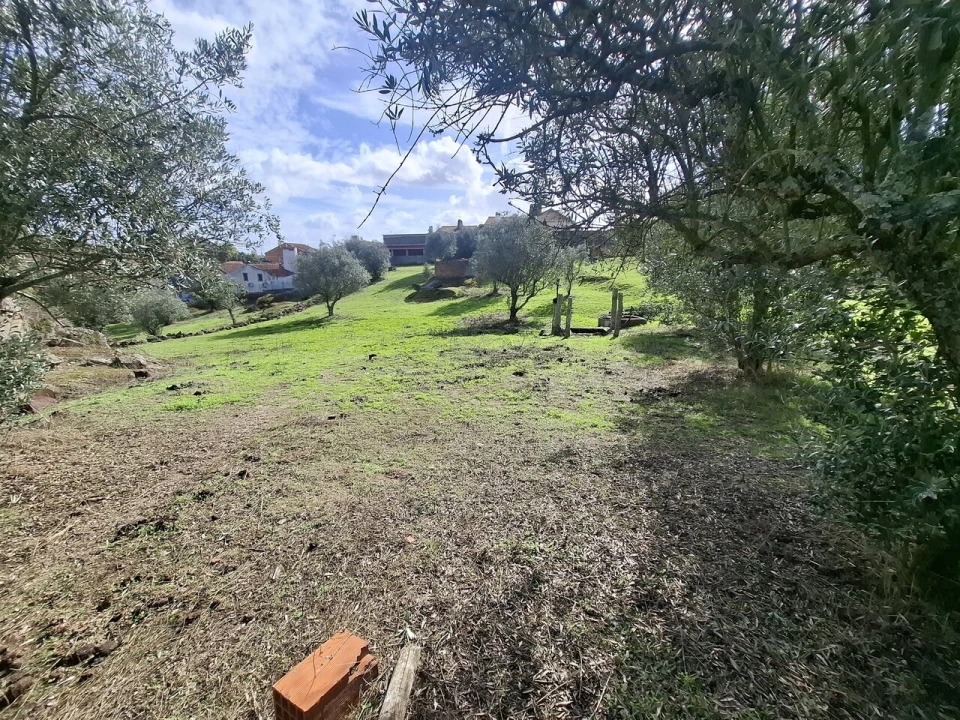 Quinta T3 para Venda em Arez e Amieira do Tejo Foto 37
