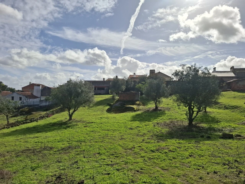 Quinta T3 para Venda em Arez e Amieira do Tejo Foto 39
