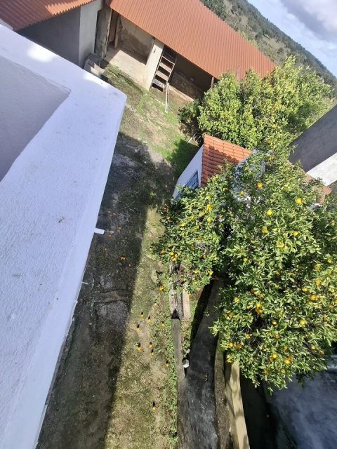 Quinta T3 para Venda em Arez e Amieira do Tejo