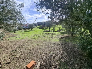 Quinta T3 para Venda em Arez e Amieira do Tejo