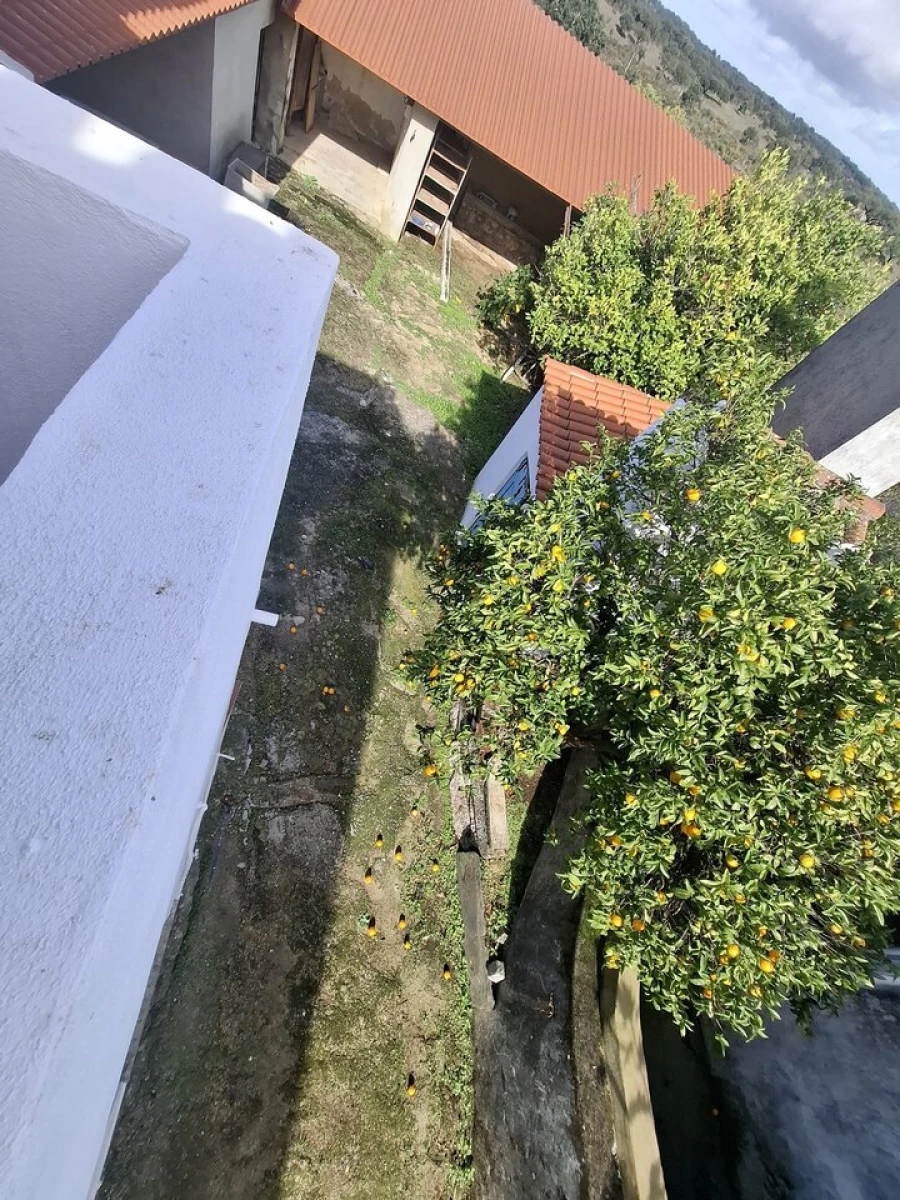 Quinta T3 para Venda em Arez e Amieira do Tejo Foto 18