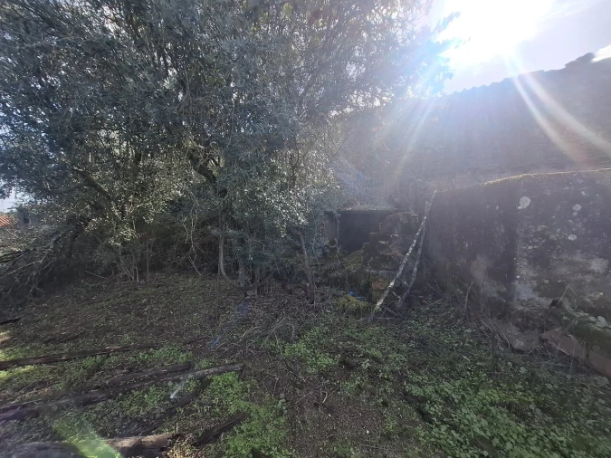Quinta T3 para Venda em Arez e Amieira do Tejo Foto 32