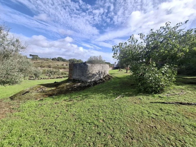 Quinta T3 para Venda em Arez e Amieira do Tejo Foto 33