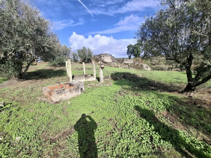 Quinta T3 para Venda em Arez e Amieira do Tejo Foto 34