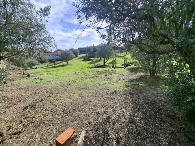 Quinta T3 para Venda em Arez e Amieira do Tejo Foto 37