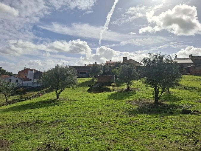 Quinta T3 para Venda em Arez e Amieira do Tejo Foto 39
