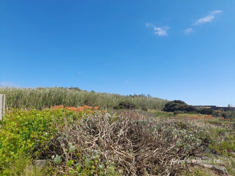 Terreno para Venda em Coimbrão Foto 7