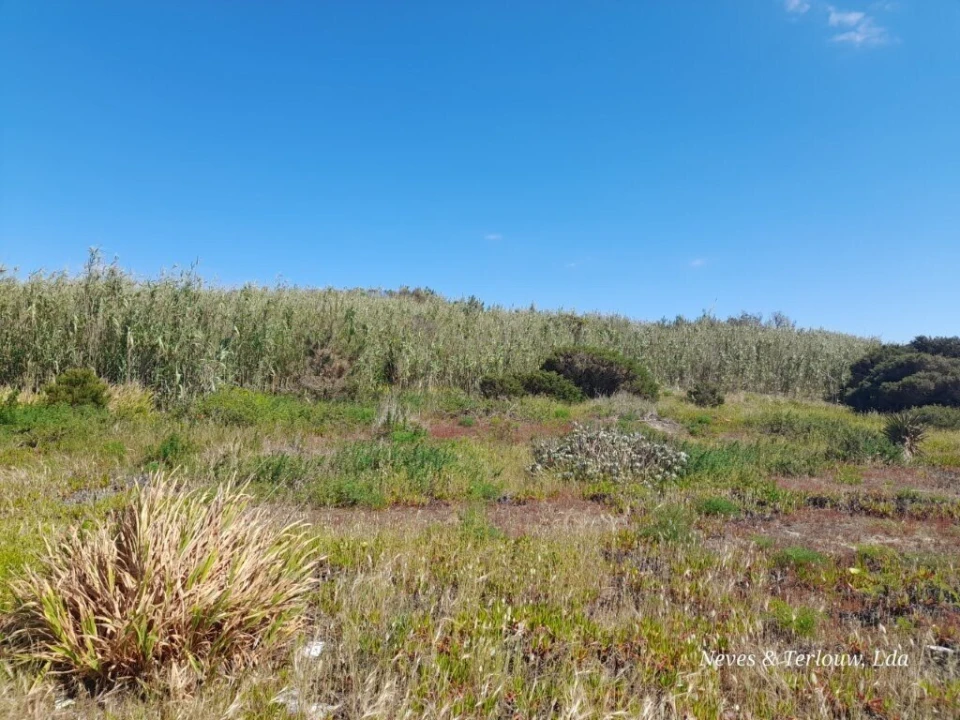 Terreno para Venda em Coimbrão Foto 4
