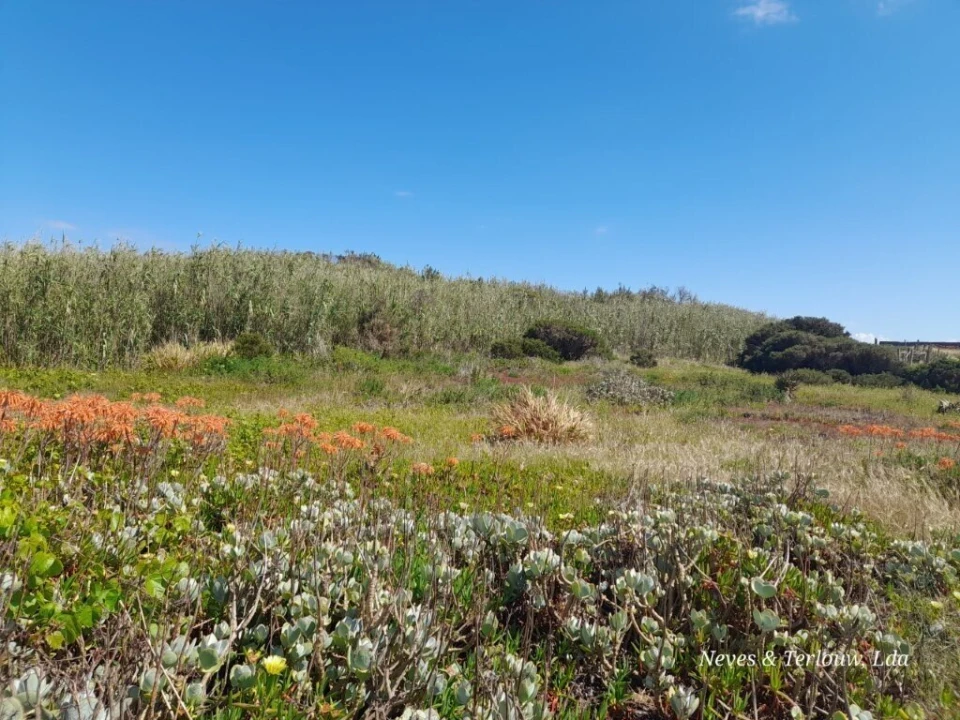 Terreno para Venda em Coimbrão Foto 5