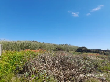 Terreno para Venda em Coimbrão