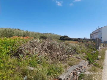 Terreno para Venda em Coimbrão