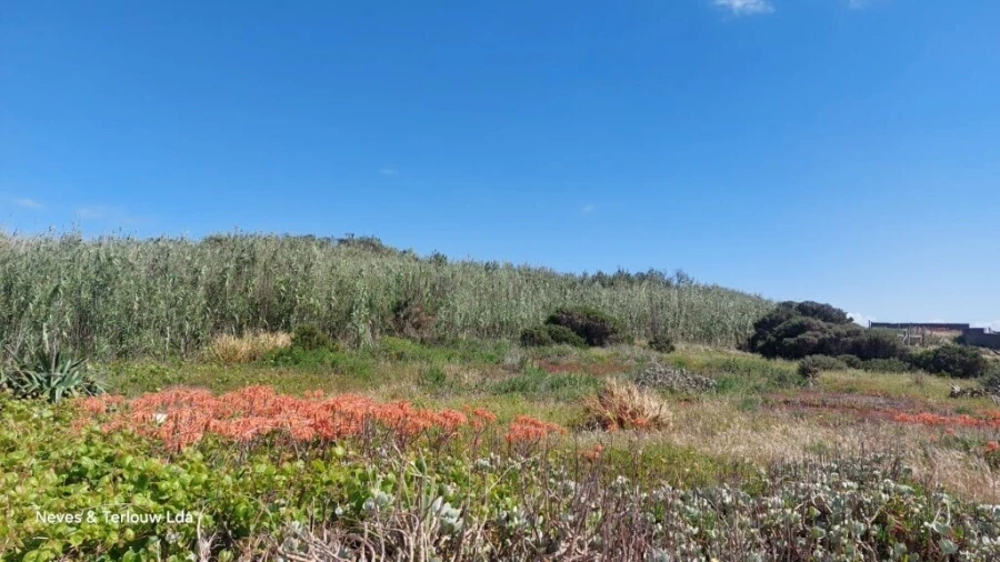 Terreno para Venda em Coimbrão Foto 2