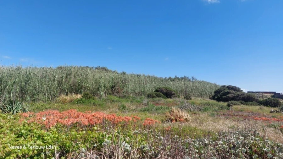 Terreno para Venda em Coimbrão