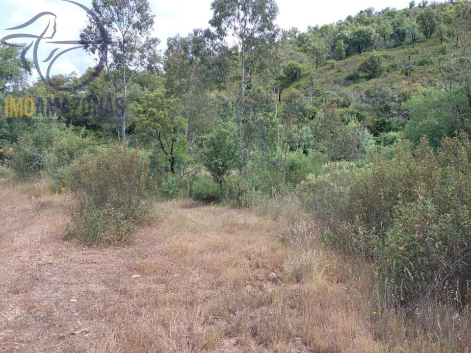 Terreno para Venda em São Marcos da Serra Foto 6