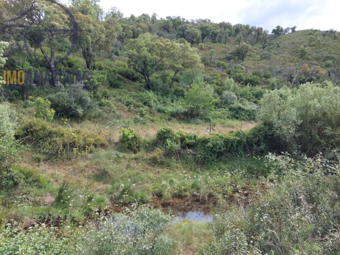 Terreno para Venda em São Marcos da Serra Foto 8