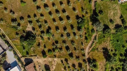 Terreno para Venda em Fundão, Valverde, Donas, A. Joanes, A. Nova Cabo