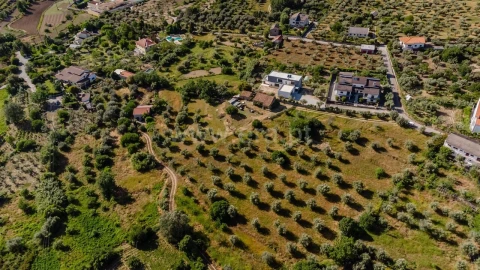 Terreno para Venda em Fundão, Valverde, Donas, A. Joanes, A. Nova Cabo
