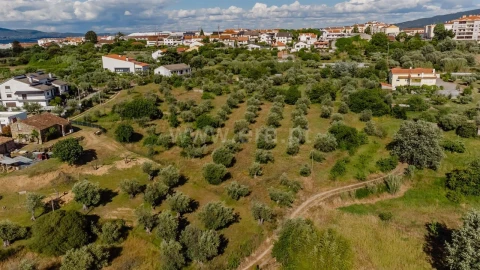Terreno para Venda em Fundão, Valverde, Donas, A. Joanes, A. Nova Cabo