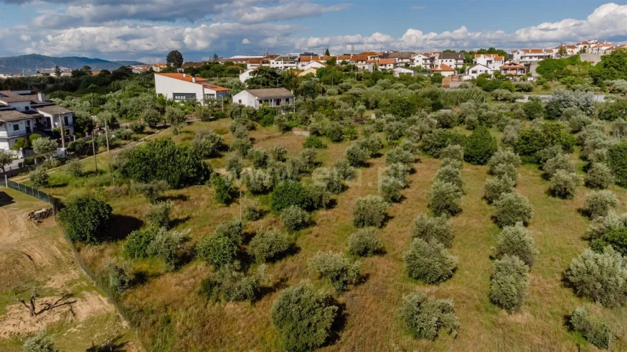 Terreno para Venda em Fundão, Valverde, Donas, A. Joanes, A. Nova Cabo Foto 9