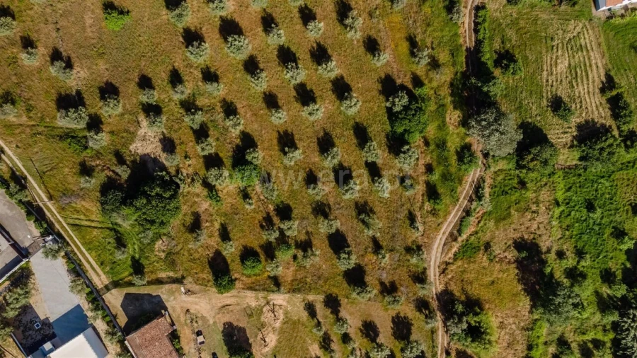 Terreno para Venda em Fundão, Valverde, Donas, A. Joanes, A. Nova Cabo Foto 4